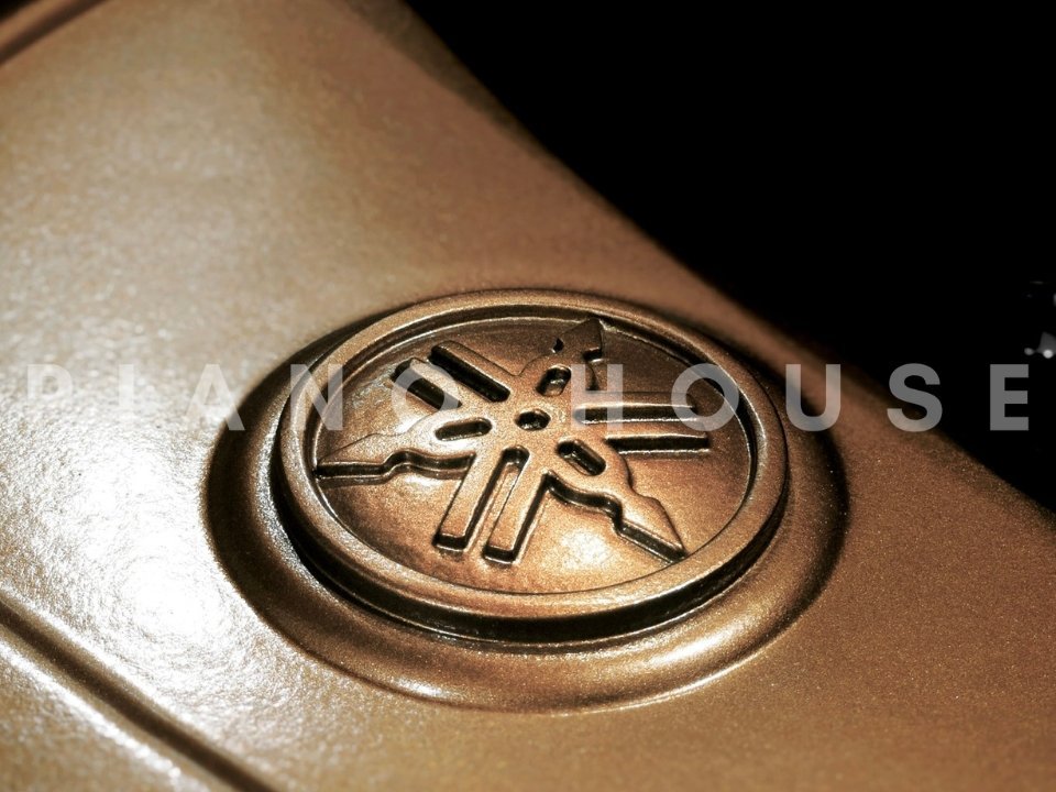 YAMAHA GB1K FP - Góc nhìn thực tế 6